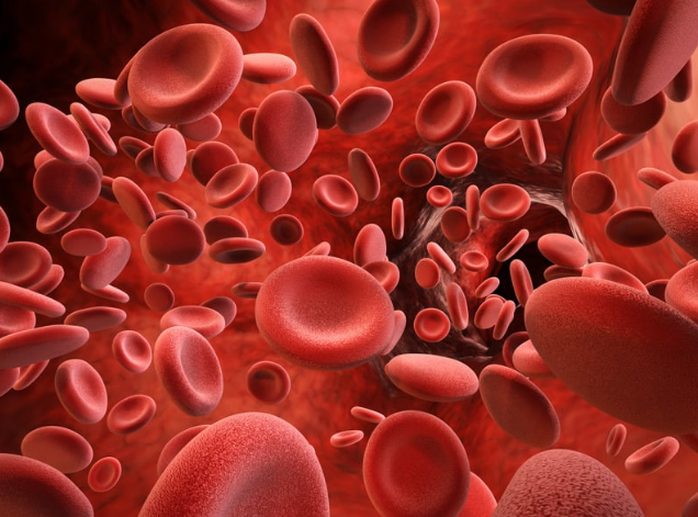 Eltrombopag 50 mg medicamento especializado para el tratamiento de plaquetas bajas – Dismedex S.A.S.